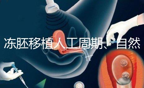 凍胚移植人工周期、自然周期怎么選？哪個成功率高？