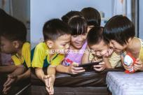 凍胚移植成功率高嗎?醫生:身體條件、胚胎質量才是關鍵