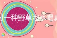 農(nóng)村一種野草泡水喝真能治便秘!配合這九種中草藥效果更好