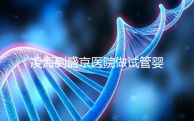 凌海到盛京醫(yī)院做試管嬰兒怎么樣？一位準(zhǔn)媽媽費(fèi)用清單分享