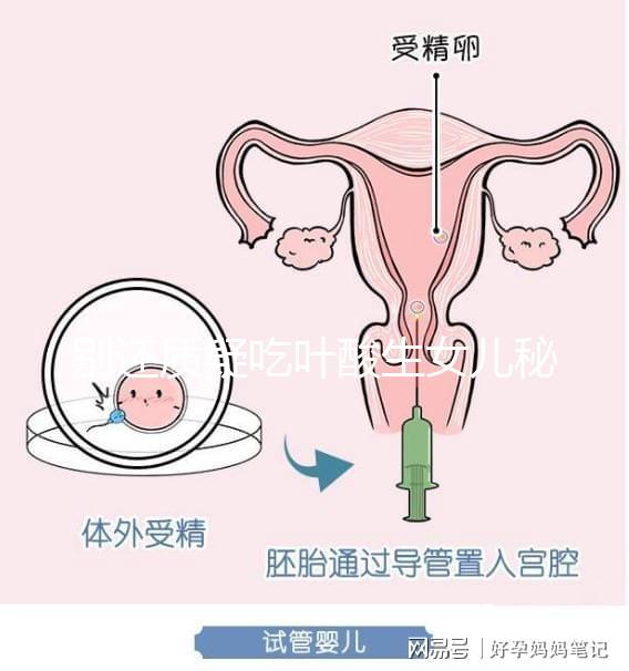 別還質(zhì)疑吃葉酸生女兒秘方真假了,概率多高進(jìn)來一看便知