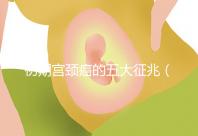 初期宮頸癌的五大征兆(宮頸癌的前兆癥狀)