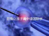 后悔讓孩子高中讀國(guó)際學(xué)校4大理由,行動(dòng)前學(xué)籍咋辦要弄清