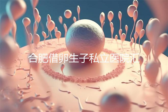 合肥借卵生子私立醫院匯總,2024哪家排名好一覽了然