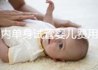 國內單身試管嬰兒費用大概要多少錢一次?附費用明細!