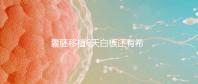 囊胚移植6天白板還有希望嗎?別沮喪該來的總是會(huì)來的