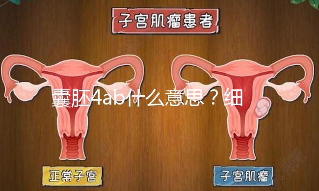 囊胚4ab什么意思？細說移植成功率