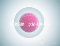 在醫(yī)院捐一次精子并不是白捐，補(bǔ)償多少錢這里告訴你