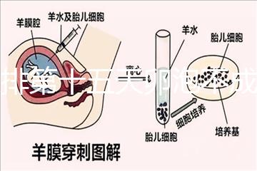 促排第十五天卵泡不成熟還可以治療！1.2等幾天就能長大