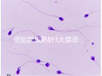 促胎肺成熟針3大禁忌,這份使用前注意事項請查收