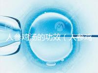 人參雞湯的功效（人參雞湯的功效與作用）