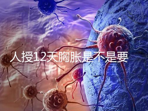 人授12天胸脹是不是要來(lái)例假了難說(shuō)，脹痛嚴(yán)重請(qǐng)驗(yàn)孕