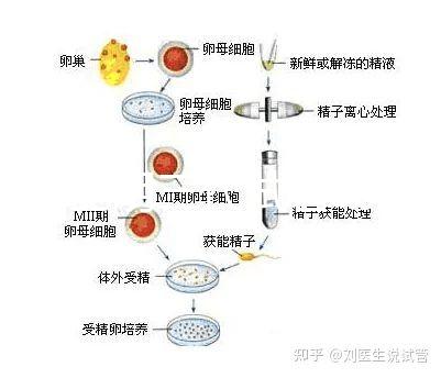 云南昆明三代試管助孕費用貴不貴呢？三代試管懷孕費用參考表！