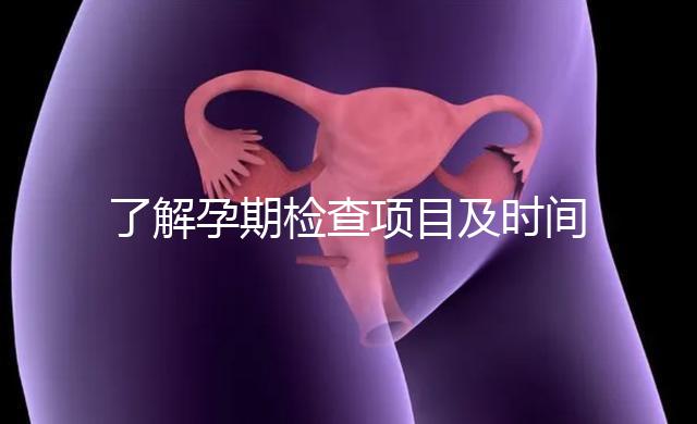 了解孕期檢查項(xiàng)目及時(shí)間表2024年10個(gè)月的產(chǎn)前檢查順序