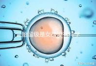 二胎留級(jí)是女孩沒有科學(xué)依據(jù),出生早晚和性別無關(guān)