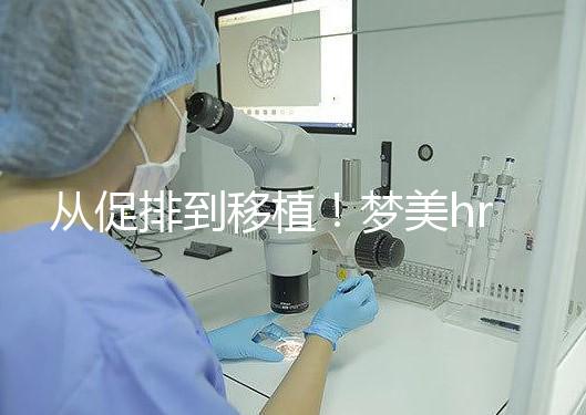 從促排到移植!夢(mèng)美hrc試管嬰兒流程共7步