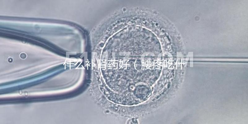 什么補(bǔ)腎藥好(腰疼吃什么補(bǔ)腎藥好)