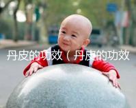 丹皮的功效（丹皮的功效與作用）