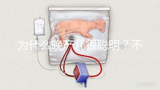 為什么晚產兒很聰明?不要被智商比同齡人高誤導