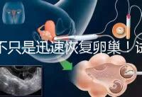 不只是迅速恢復(fù)卵巢！試管取卵后吃蘿卜的3大好處匯總