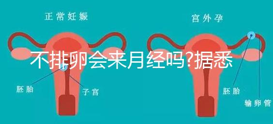 不排卵會來月經(jīng)嗎?據(jù)悉并不會推遲