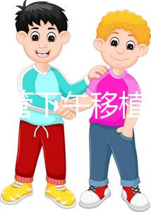 不懂試管下午移植上午要不要請假速覽,何時開始一看便知