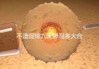 不造促排九天卵泡多大合適的瞧,卵巢功能好卵子10還能長