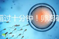 不超過十分鐘！卵泡破裂到輸卵管的時(shí)間，備孕必收藏