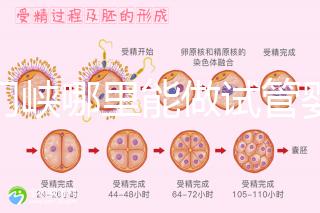 三門峽哪里能做試管嬰兒？從經歷談成功率和費用