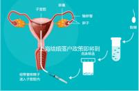 上海結(jié)婚落戶(hù)政策即將到來(lái),包括2024年黃浦區(qū)詳細(xì)的戶(hù)籍流程