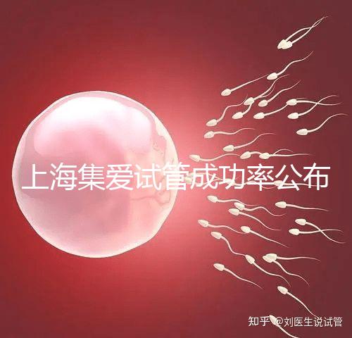 上海集愛試管成功率公布，排名輕松進入全國前二十！