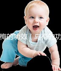 烏梅的功效(烏梅的功效與作用的功能與主治)