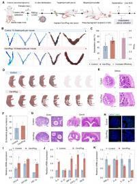 乳腺癌不吃他莫昔芬后果很嚴重，復發僅為其一