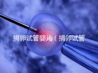 捐卵試管嬰兒(捐卵試管嬰兒費(fèi)用)