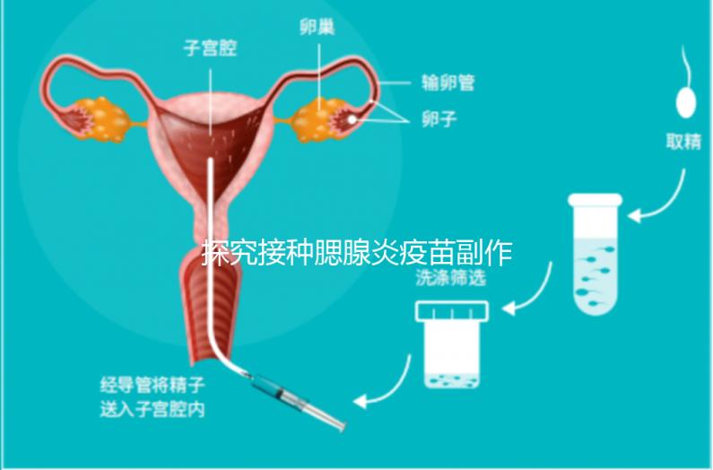 探究接種腮腺炎疫苗副作用，出現發燒用這3招應對自如
