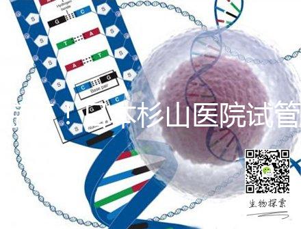 驚訝！日本杉山醫院試管嬰兒成功率和泰國持平