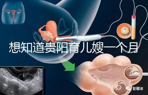 想知道貴陽育兒嫂一個月戳多少錢，云巖2萬夠不夠