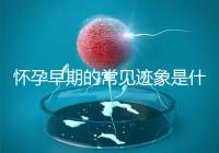 懷孕早期的常見跡象是什么？