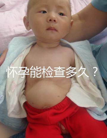 懷孕能檢查多久？