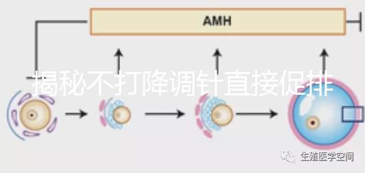 揭秘不打降調(diào)針直接促排的影響，是否妨礙懷孕一目了然