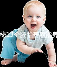 揭秘13個胚胎養囊能養成幾個，別以為6個著床幾率就高