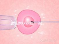 染色體XXY鬧劇：克氏綜合征，帶你走進(jìn)“第三性別”群體