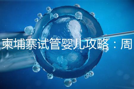 柬埔寨試管嬰兒攻略:周期和時間規(guī)劃全解析!