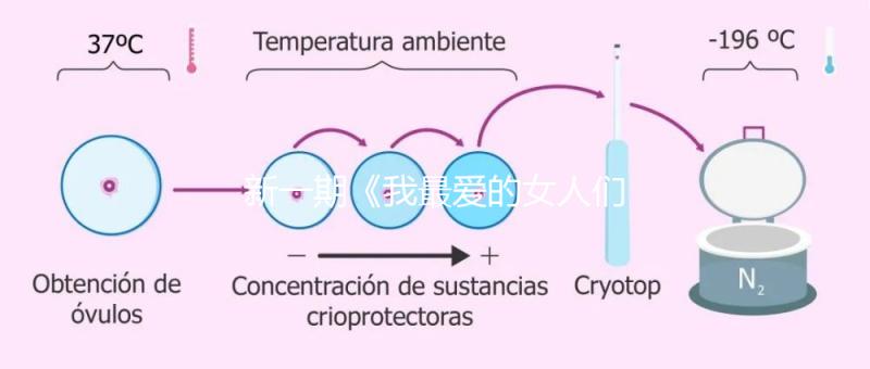 新一期《我最愛的女人們》，蔡少芬自曝第一胎曾小產(chǎn)