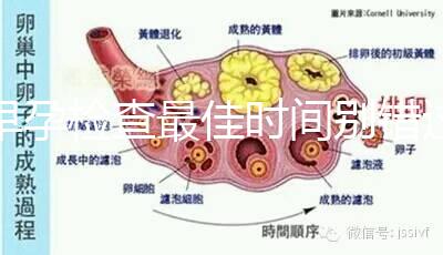 早孕檢查最佳時間別錯過,事關寶寶健康不可馬虎大意