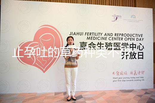 止孕吐的草藥種類不少，胡椒草、半夏…幫你輕松渡過孕早期