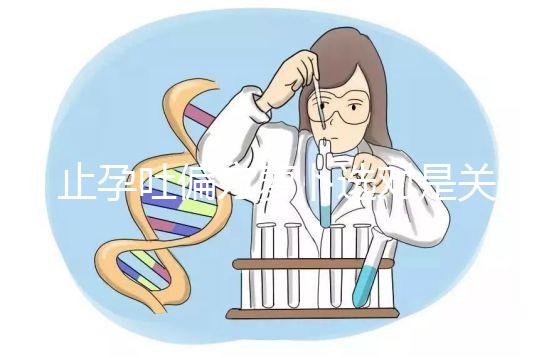 止孕吐偏方蘿卜選對(duì)是關(guān)鍵,懷孕初期生吃or煲湯功效不同