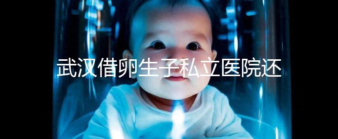 武漢借卵生子私立醫院還得看這幾家，協和、同濟醫院上榜