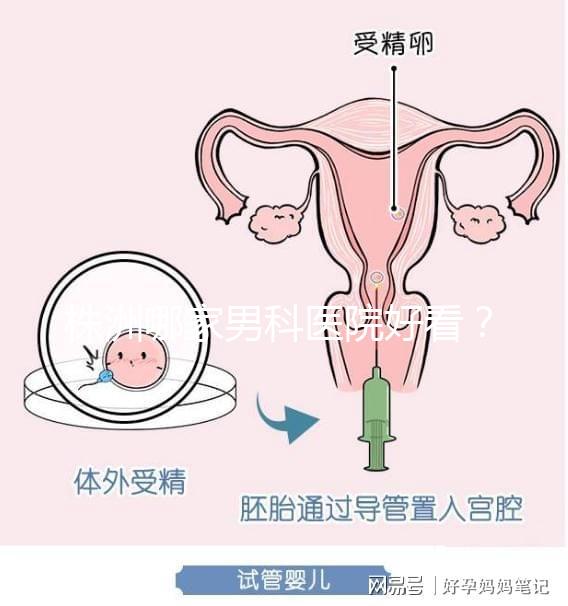 株洲哪家男科醫院好看？這位醫生的專業成本還很低