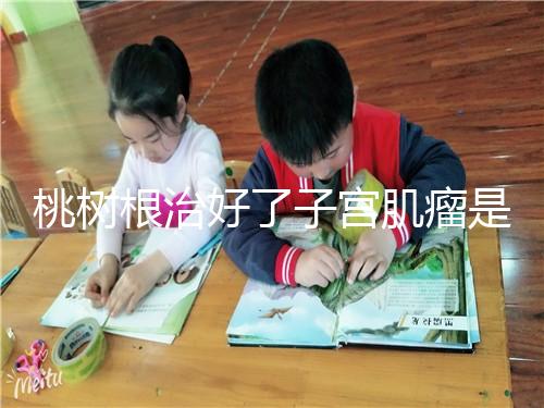 桃樹根治好了子宮肌瘤是謠言？和豬肉一起吃效果真不賴